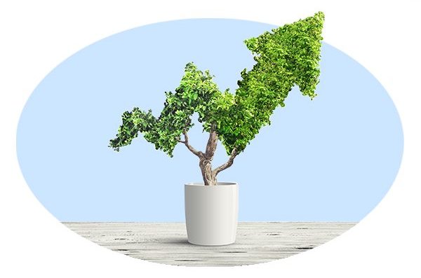 Tree in a white pot shaped in the form of a jagged stock arrow pointing up.